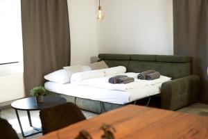 a living room with a couch and a table at Business & Family - Zentral, 24h Check-In, XXL TV in Siegburg