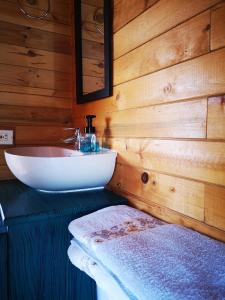 ein Badezimmer mit einem Waschbecken in einer Holzwand in der Unterkunft Cabaña con vista a la laguna de Tota in Tota