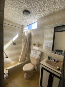 y baño con aseo, lavabo y espejo. en Hotel Andenes, en Arequipa