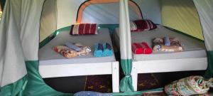 two bunk beds in a tent with shoes on them at Jungle Glamping Tent in Maluk