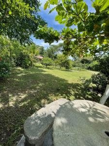 a park with a rock and trees and a field at Casa vacacional Morales in Puntarenas +11 photos