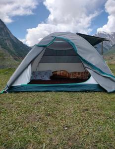 a tent is set up in a field at Brown bear camping gurez in Kanzalwan