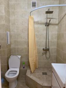 a bathroom with a toilet and a shower at Апартаменты в районе Болашак in Aktobe