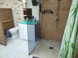 een badkamer met een douche, een wastafel en een toilet bij Chambre gîte du Gardoir in Boresse-et-Martron