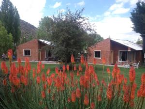 un campo de flores rojas delante de una casa en CABAÑAS VILLA CAMPESTRE en Potrerillos