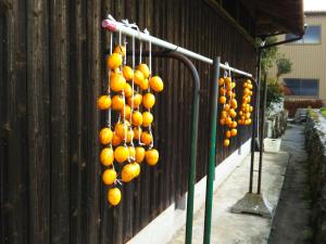 Φωτογραφία από το άλμπουμ του 農園民宿 春名 Farmstay Haruna σε Taka