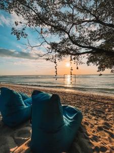 Beach sa o malapit sa hotel