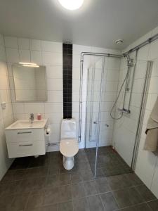 a bathroom with a toilet and a shower and a sink at Stugcentralen Lägenheter & Stugor in Halmstad
