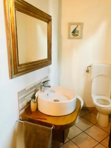 een badkamer met een wastafel, een toilet en een spiegel bij Appartamento vista Rocca in Sala Baganza