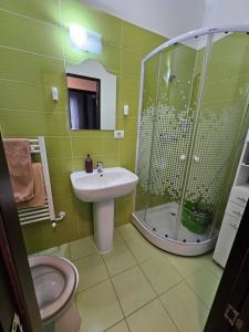 AMG Apartament في براشوف: حمام أخضر مع حوض ودش