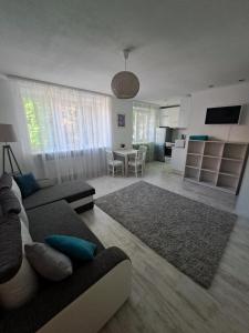 a living room with a couch and a table and a kitchen at Comfort in Daugavpils