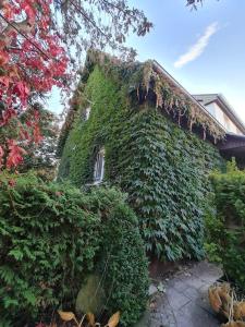 Giardino di Casa Lucia