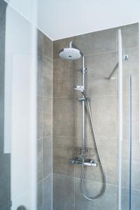 a shower with a shower head in a bathroom at Black Forest Apartments in Gengenbach