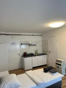 a room with a kitchen and a bed in it at OPG - ZM APARTMANI MARTINOVIĆ in Novska