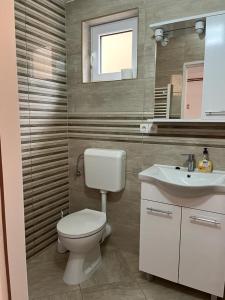 a bathroom with a toilet and a sink and a mirror at OPG - ZM APARTMANI MARTINOVIĆ in Novska