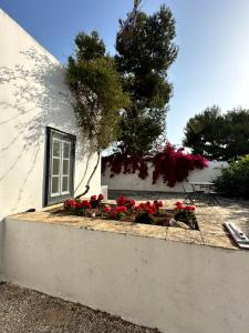 okno z czerwonymi kwiatami przed budynkiem w obiekcie Two Olive Trees w mieście Spetses