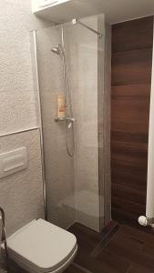 La salle de bains est pourvue d'une douche en verre et de toilettes. dans l'établissement Tampa Gardens Apartments BNB, à Braşov