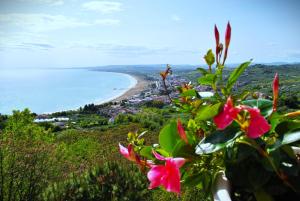 Paesaggio naturale nelle vicinanze del bed & breakfast