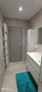 ein Badezimmer mit einem weißen Waschbecken und einem weißen Kühlschrank in der Unterkunft Appartement au centre ville de BACCARAT en RDC in Baccarat