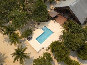 an overhead view of a swimming pool with palm trees at Tropical Breeze in Palmetto Bay in Palmetto Bay