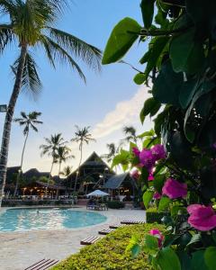 a pool at the resort with palm trees and flowers at Palumboreef Beach Resort in Uroa