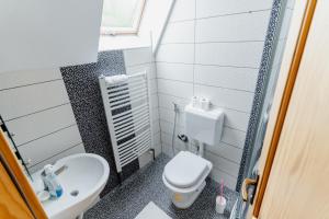 a small bathroom with a toilet and a sink at VillaLaylaRostovo in Bugojno