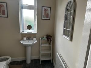 a bathroom with a sink and a toilet and a window at Safari Avenue one Bedroom Apartment in Stapleford