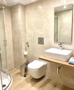 een badkamer met een toilet, een wastafel en een douche bij Venetia in Tsoútsouros