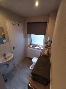 a bathroom with a sink and a toilet and a window at Apartment Maiglöckchen in Fritzlar