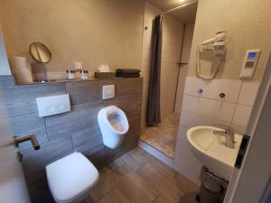 bagno con servizi igienici, lavandino e specchio di Apartment Maiglöckchen a Fritzlar