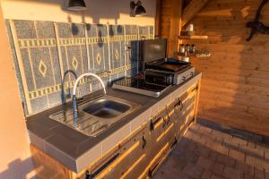 a kitchen counter with a sink and a stove at Hill Cottage Haloze in Gruškovec