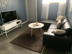 een woonkamer met een bank en een tv bij Trivelig leilighet gratis parkering på stedet! in Porsgrunn