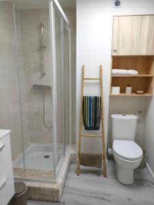een badkamer met een douche, een toilet en een glazen douchecabine bij La Lit'Hote in Mirefleurs