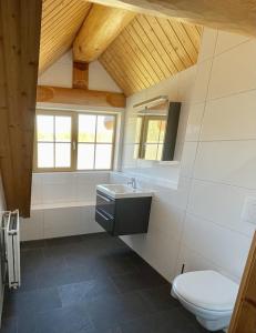 een badkamer met wastafel en toilet bij Unieke houten villa met SAUNA in Twente - 5p in Den Ham