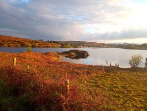 Foto dalla galleria di Donegal cottage a Donegal