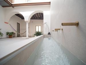 a pool of water in a bathroom with a shower at Apartamentos Alcoba 13 in Sanlúcar de Barrameda