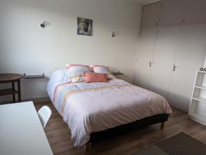 ein Schlafzimmer mit einem Bett mit rosa Kissen darauf in der Unterkunft La Fontaine in Montgaillard-Lauragais
