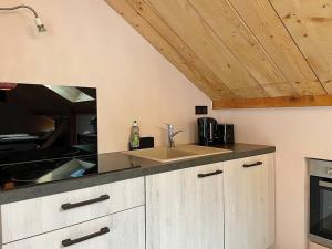 een keuken met een spoelbak en een aanrechtblad bij Au Cocon du Haut Pergé in Gérardmer