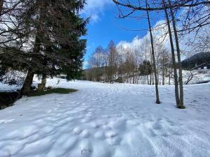 een met sneeuw bedekte weg met bomen aan de zijkant bij Au Cocon du Haut Pergé in Gérardmer