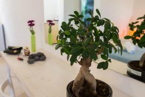 Fotografie z fotogalerie ubytování ILIADA-ODYSSEAS RESORT v destinaci Perivolos