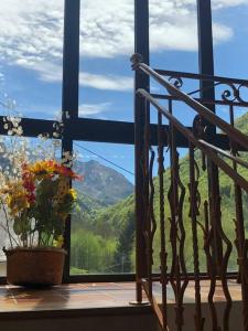 a vase of flowers on a window sill with a view at Appartement Chez Place à Estaing in Estaing