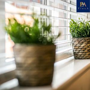 two potted plants sitting on a window sill at Pluxa Mint Bliss - Stylish with workspace in Birmingham