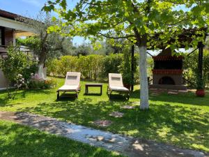 zwei Stühle und ein Tisch unter einem Baum im Hof in der Unterkunft Les Olives Woodhouse in Drosia