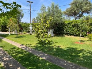 a tree in the grass next to a sidewalk at Les Olives Woodhouse in Drosia +17 photos
