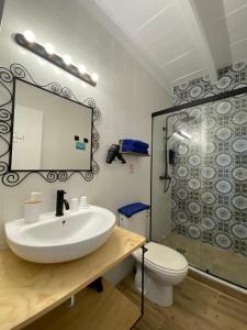 a bathroom with a sink and a toilet and a mirror at Alojamiento Rural "El Charco del Sultan" in Conil de la Frontera