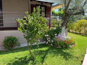 ein Baum vor einem Haus mit Blumen in der Unterkunft Les Olives Woodhouse in Drosia