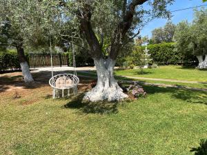 a swinging bench next to a tree in a yard at Les Olives Woodhouse in Drosia