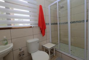 St. Lucia Ocean View Holiday Home في سانت لوسيا: حمام مع دش ومرحاض ومغسلة