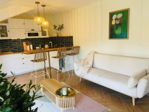 Il comprend un salon avec un canapé et une cuisine. dans l'établissement Appartement Chèvremont Metz, à Metz