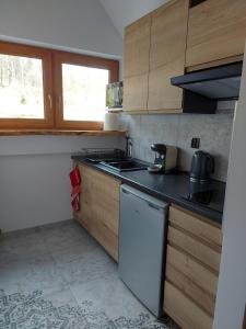 a kitchen with a sink and a dishwasher at Zielony Jeleń - sauna i jacuzzi in Szklarska Poręba